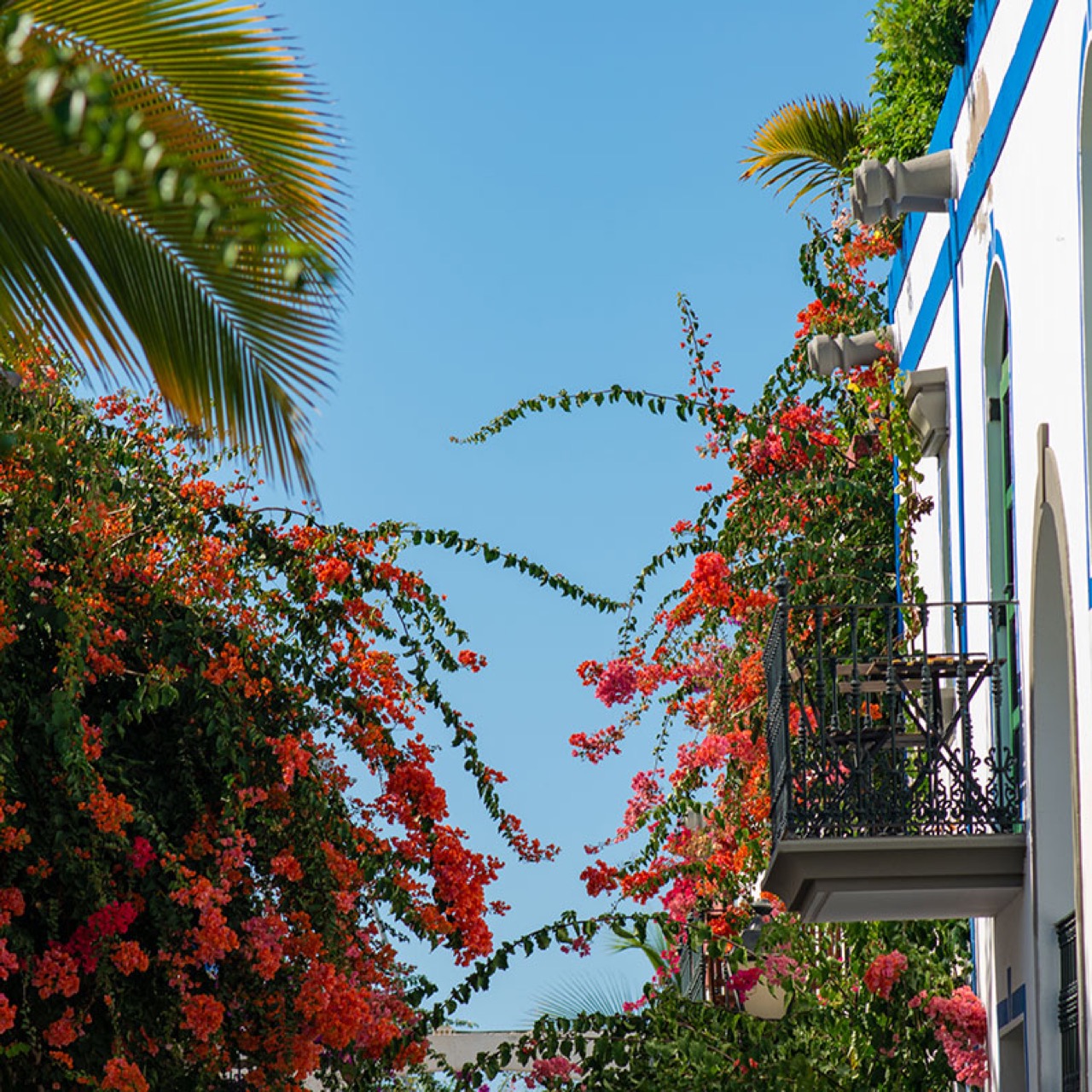 Gallery: Apartments LIVVO Puerto de Mogán